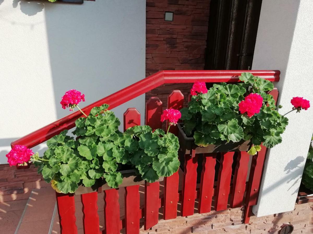 Žiar Privat Kovacova 빌라 외부 사진