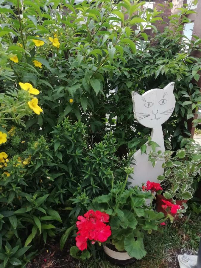 Žiar Privat Kovacova 빌라 외부 사진