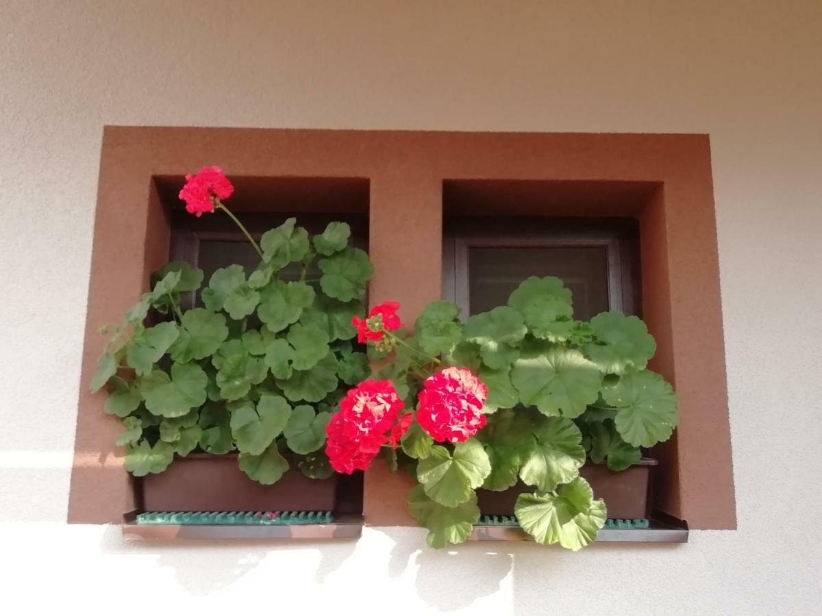 Žiar Privat Kovacova 빌라 외부 사진